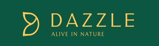 Dazzle Villa Resort