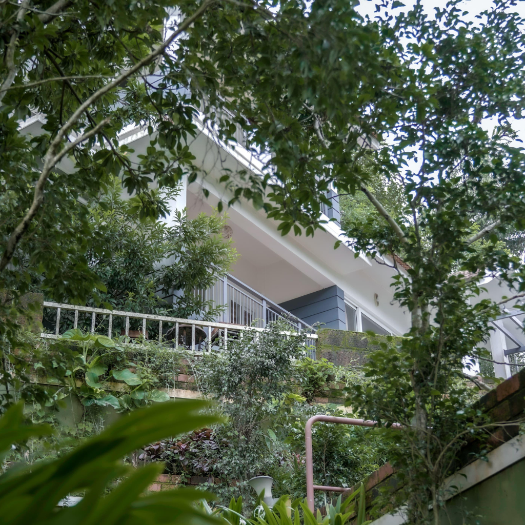 Untitled design (19)